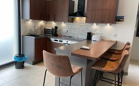 Studio Loft Du Lac Avec Terrasse Avec Vue Sur Le Lac Et La Motte