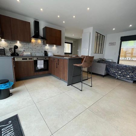 Studio Loft Du Lac Avec Terrasse Avec Vue Sur Le Lac Et La Motte Appartement Vaivre-et-Montoille Buitenkant foto